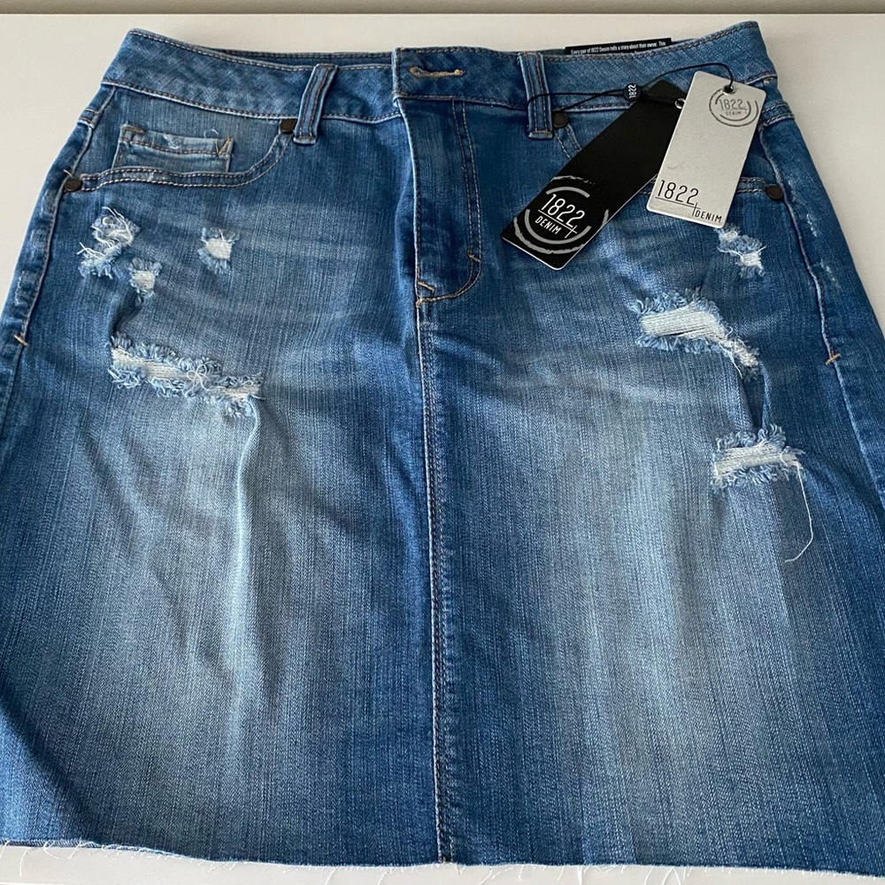 1822 Denim Blue (A-Line) skirt